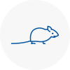 Mice Exterminators In Redditch